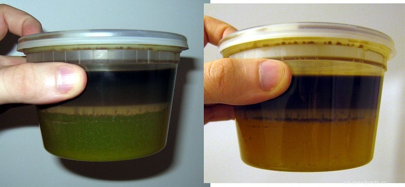 Help! I See Oil in Coolant Reservoir of my Vehicle!