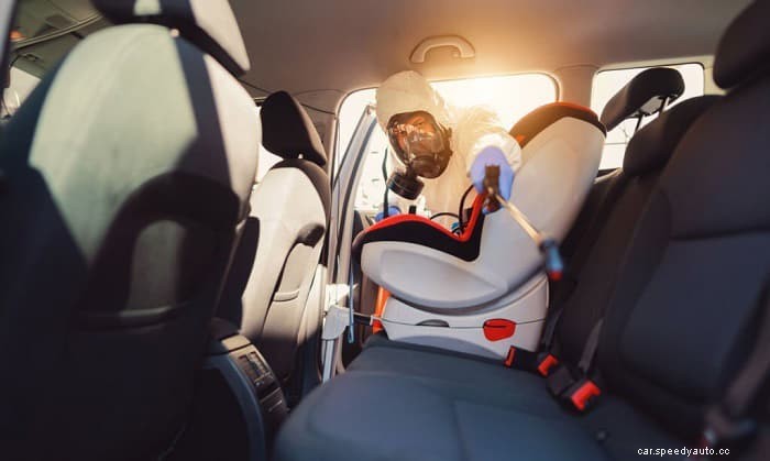 How to Remove Mold From Your Car Interior in 6 Steps