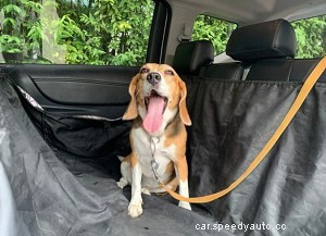 How to Keep Your Car Clean Inside? – 10 Tips You Should Try