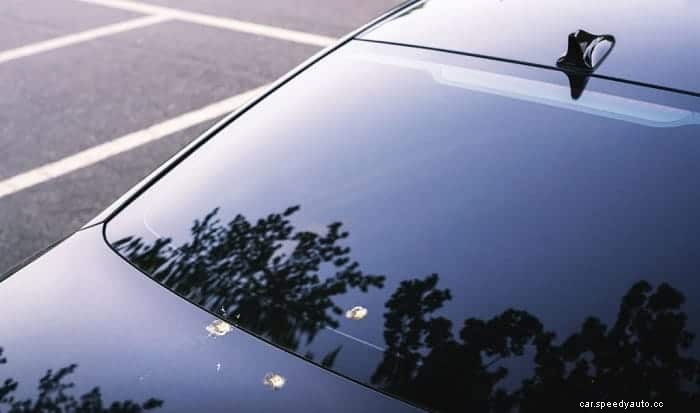 How to Get Bird Poop Off Car Easily & Affordably