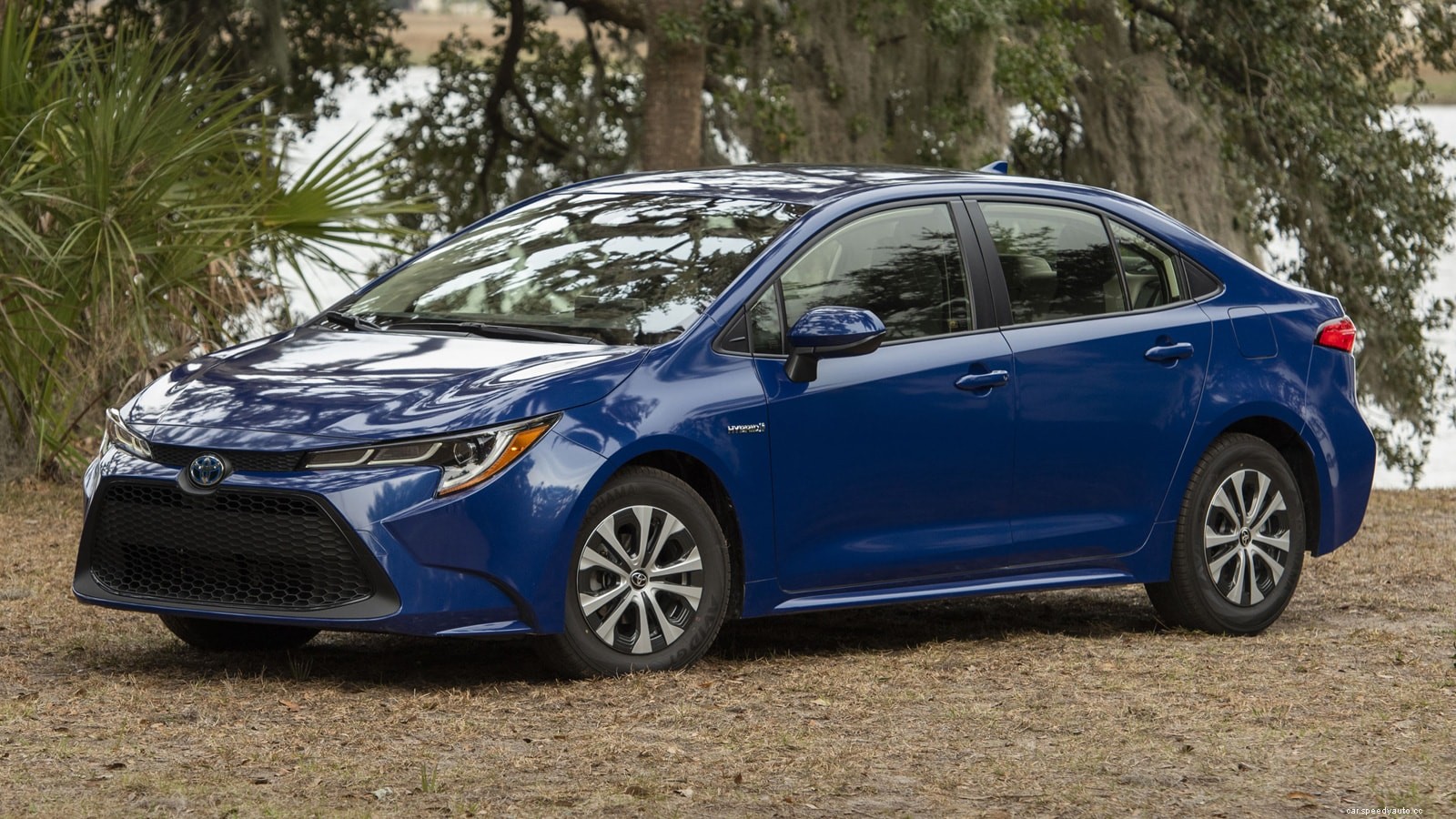 Best Cars for Teens: The List Every Parent Needs