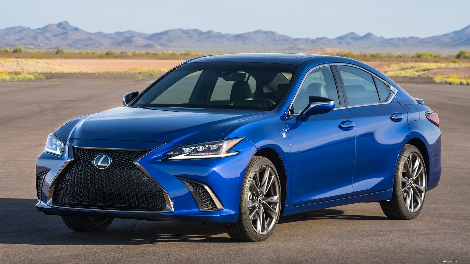 Best Cars for Tall People Looking for a Comfortable Ride