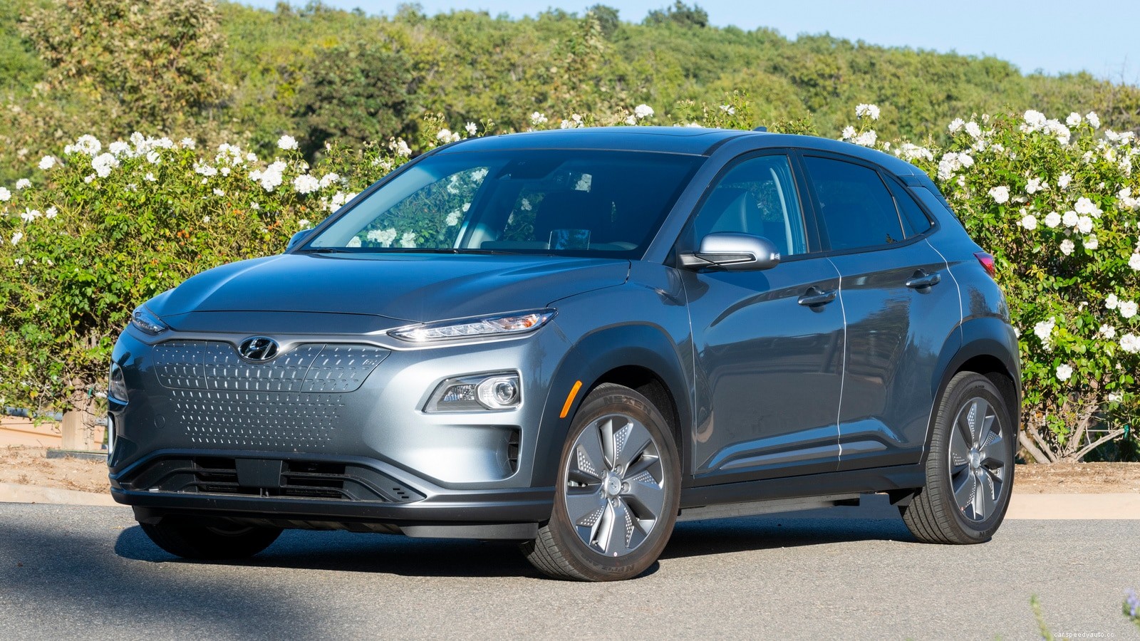 Electric Vehicle Buying Guide