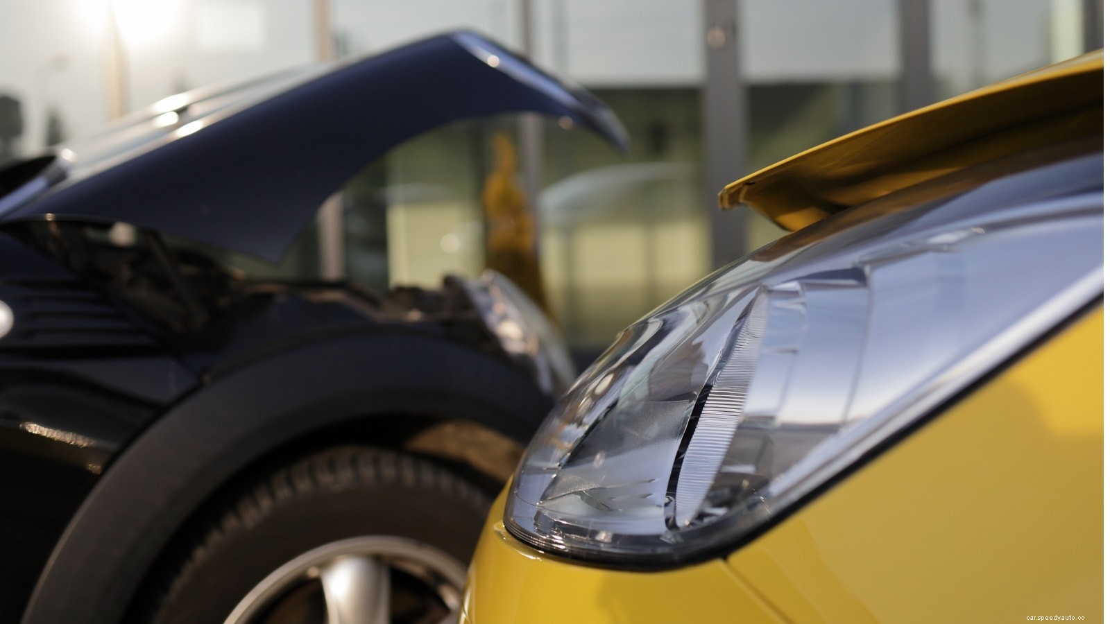 Root Car Insurance Review for 2022