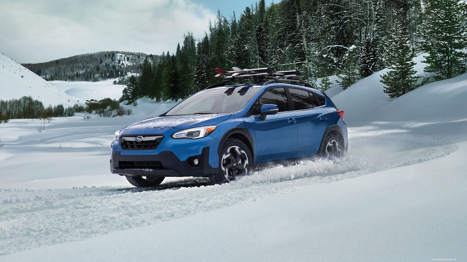 AWD vs. 4WD: Which is Better?