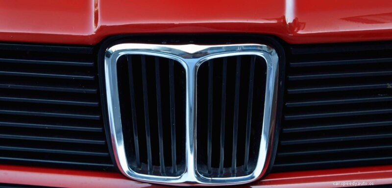 Restore Black Trim Around Car Windows