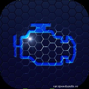 OBD2 Diagnostic App or Car Sensor System Check (Android and IOS)