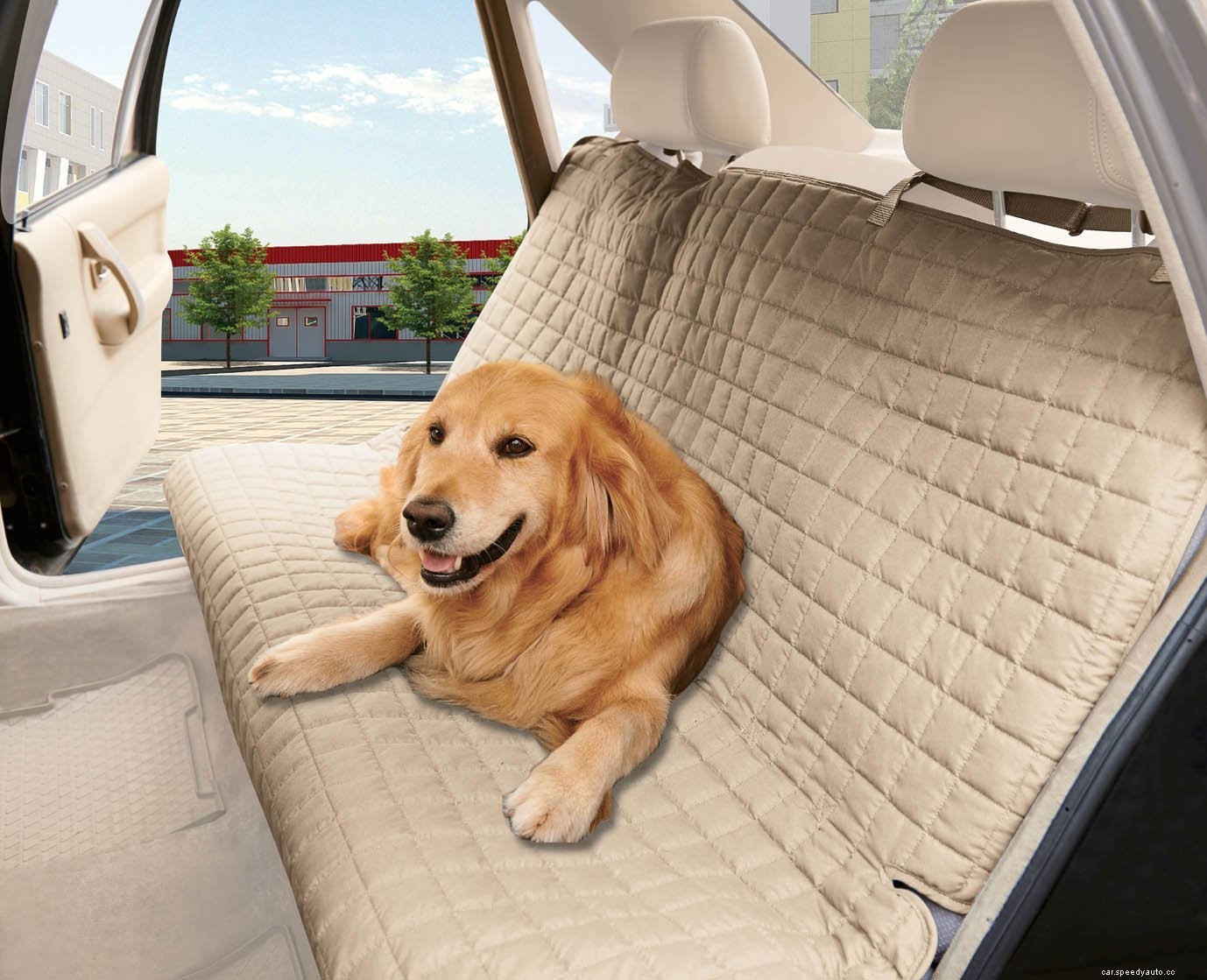 Best Car Seat covers for Pets