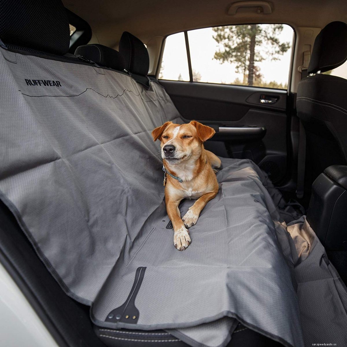 Best Car Seat covers for Pets