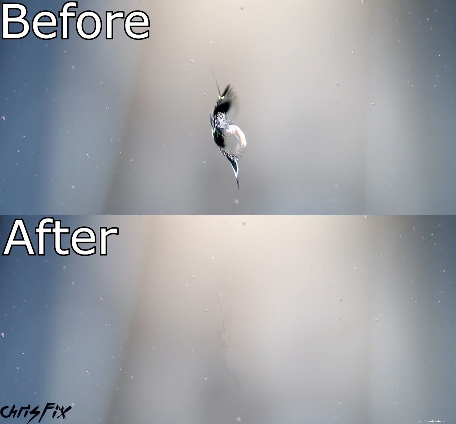 DIY Windshield Repair: Fix Rock Chips for $20 in an Hour