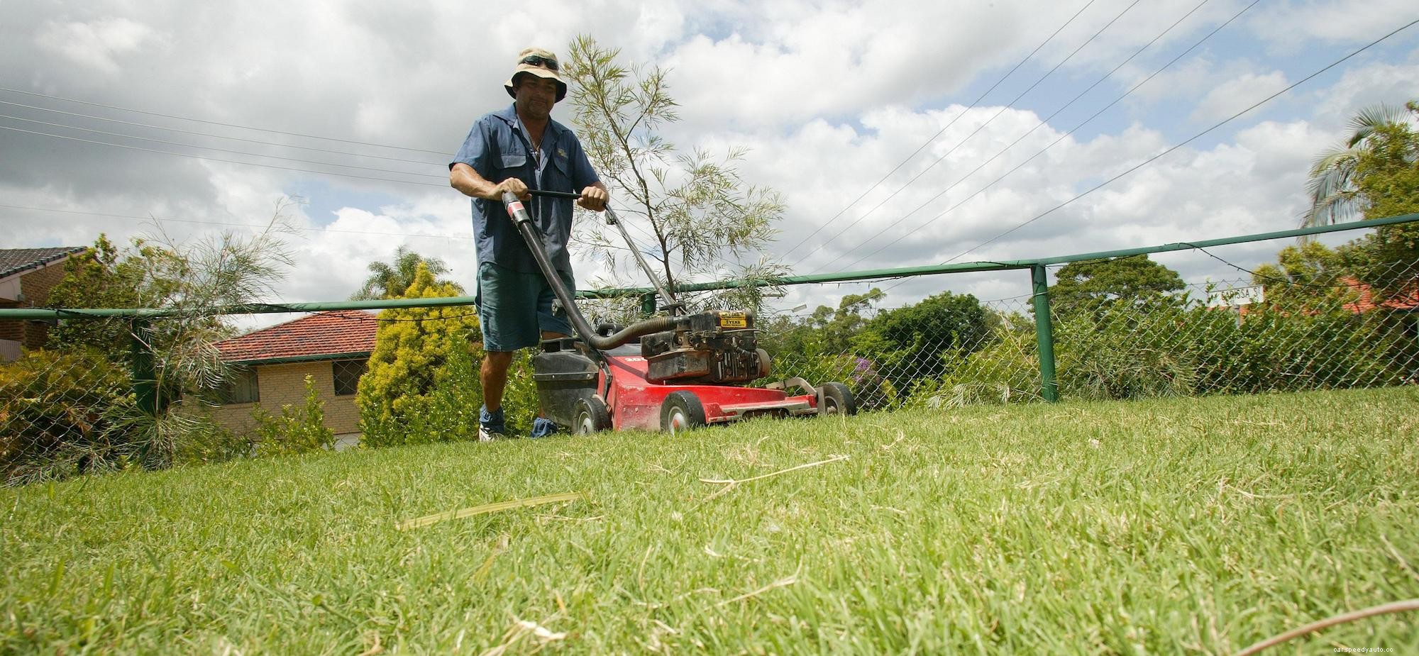 What Happens if You Mow Your Grass in the Same Direction?