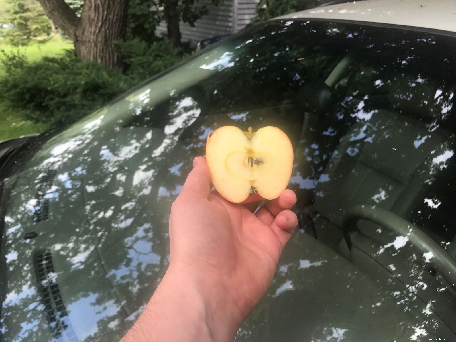 Try This Secret Apple Trick on a Car Windshield and Watch the Magic Happen