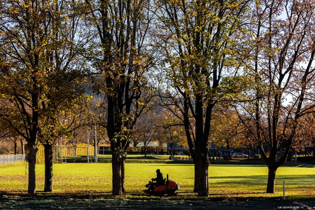 Top Tips on Preparing Your Lawn Mower for Falling Leaves and Autumn Weather