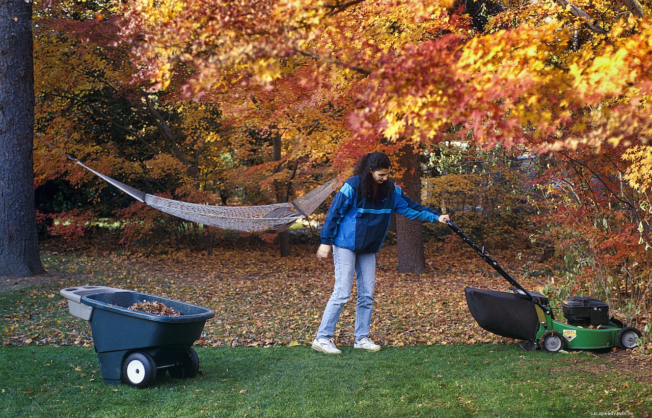 Top Tips on Preparing Your Lawn Mower for Falling Leaves and Autumn Weather