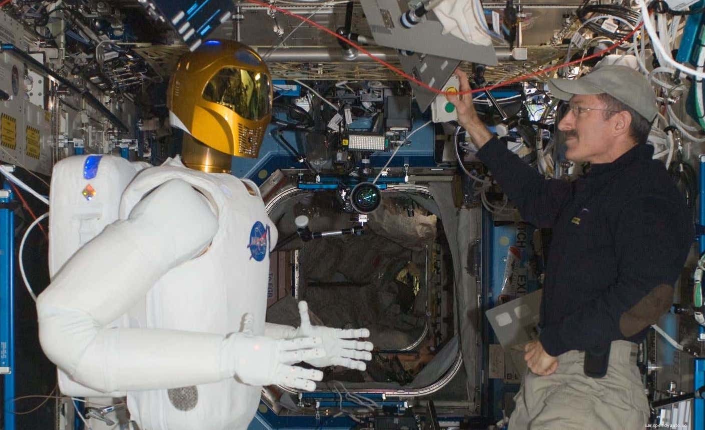 Work For Tesla? Elon Musk Wants You Replaced With a Tesla Robot