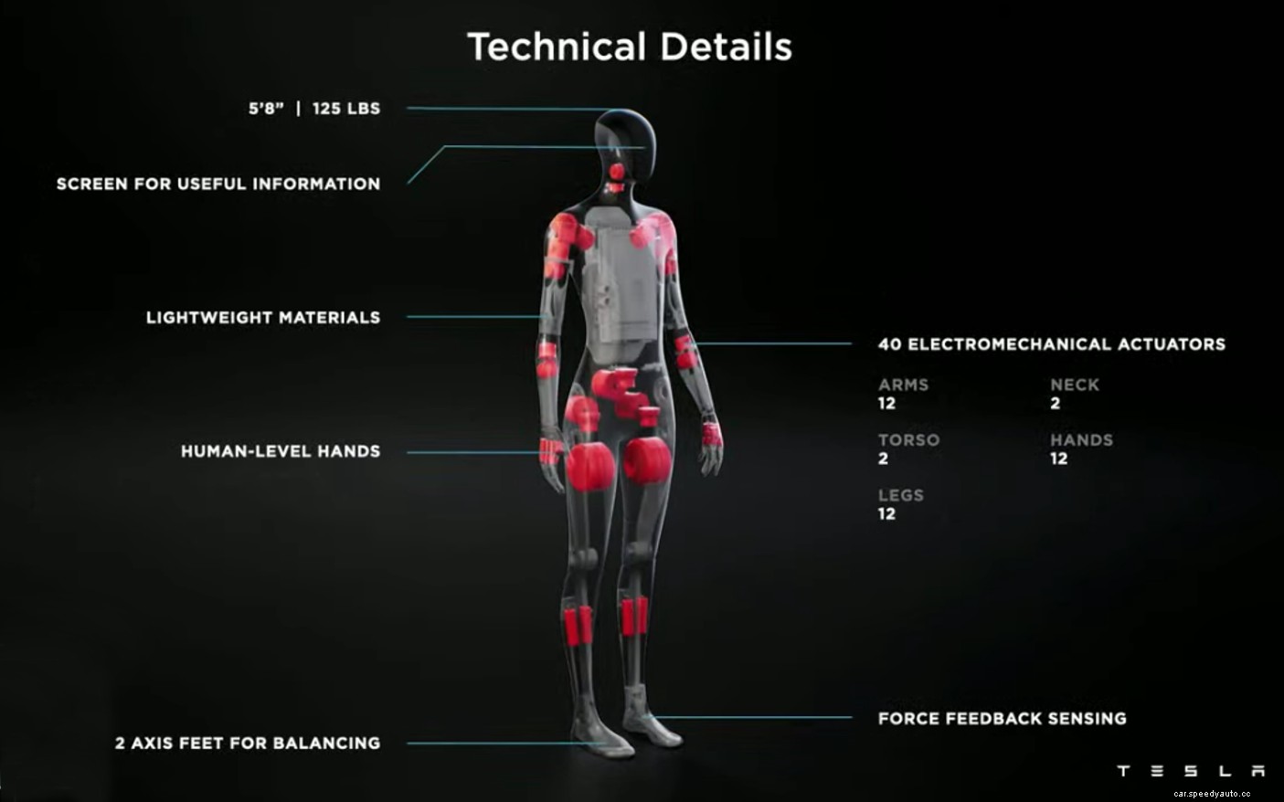 Work For Tesla? Elon Musk Wants You Replaced With a Tesla Robot