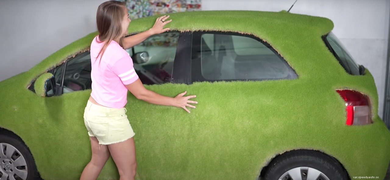 This Social Media Influencer Turned Her Car Into a Driveable Chia Pet