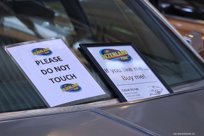 If You’re in Florida and Love Classic Cars, Go Visit Dezerland