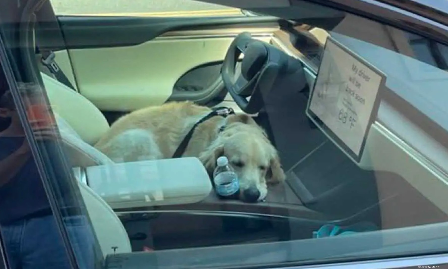 This Tesla Model X is Testing Dog Mode: What’s That?