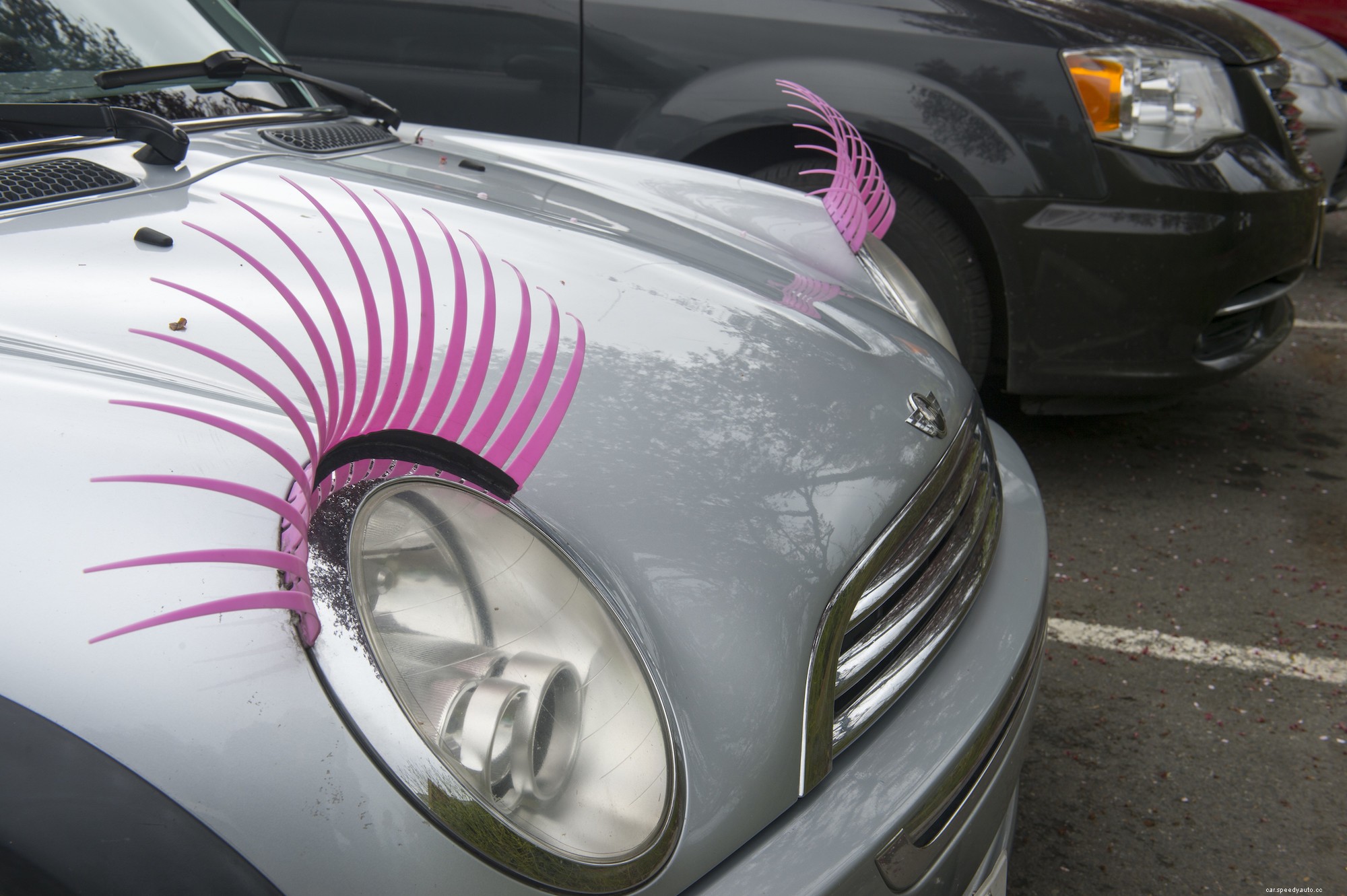 5 of the Most Ridiculous Car Accessories