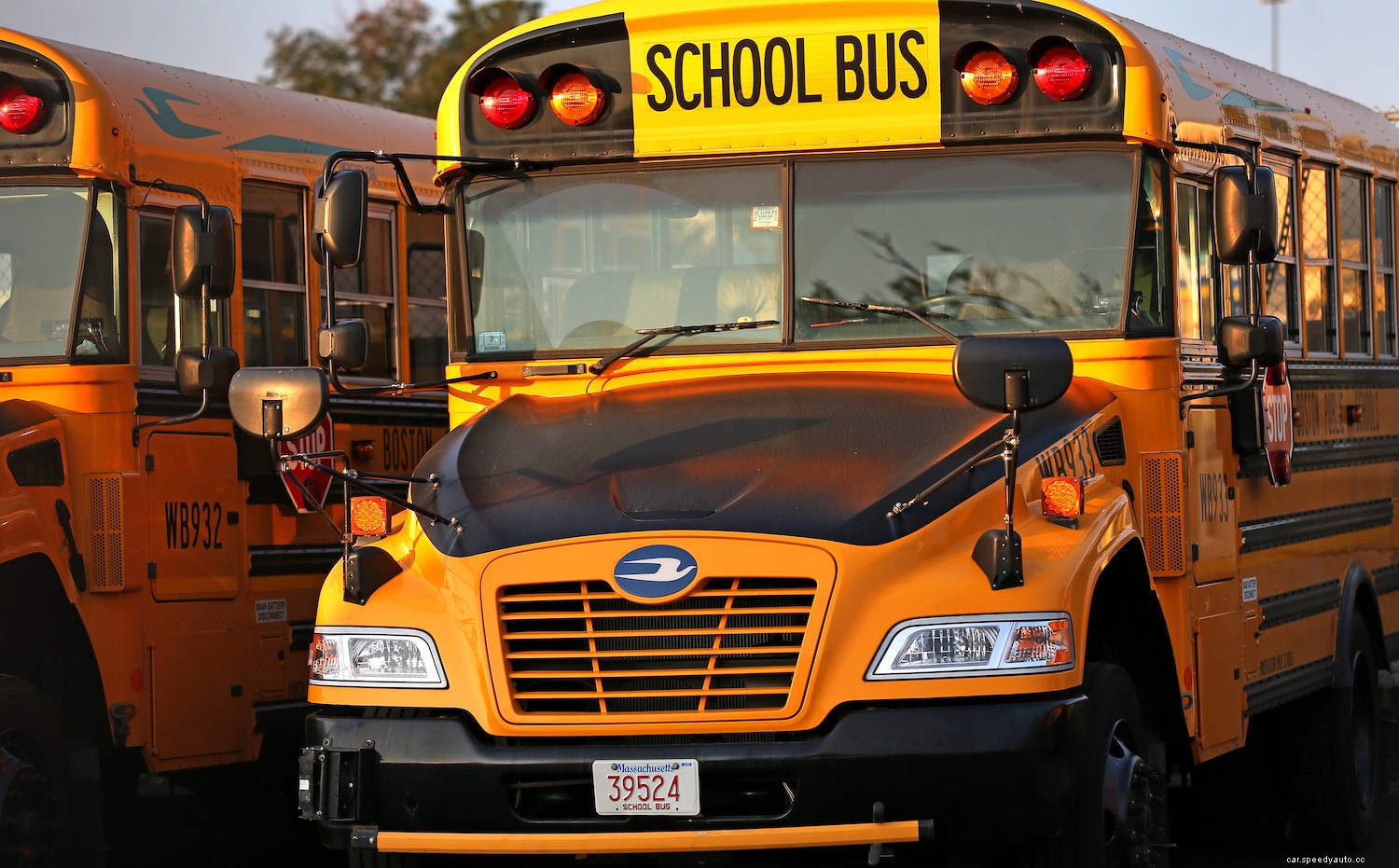 Why Don’t School Buses Have Seat Belts? The Reason Might Surprise You
