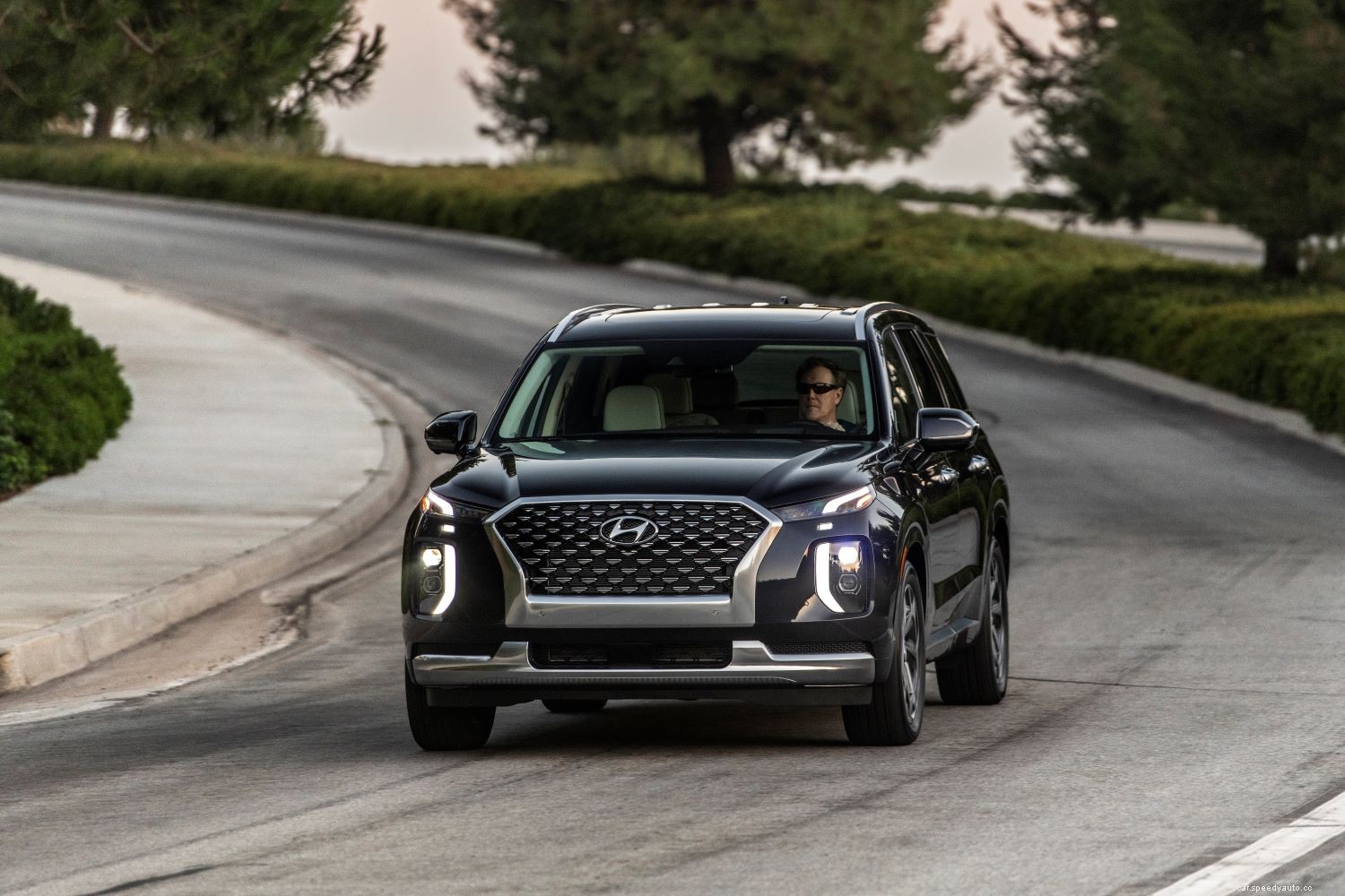 The Biggest 2021 Hyundai Palisade Problems After 9,000 Miles