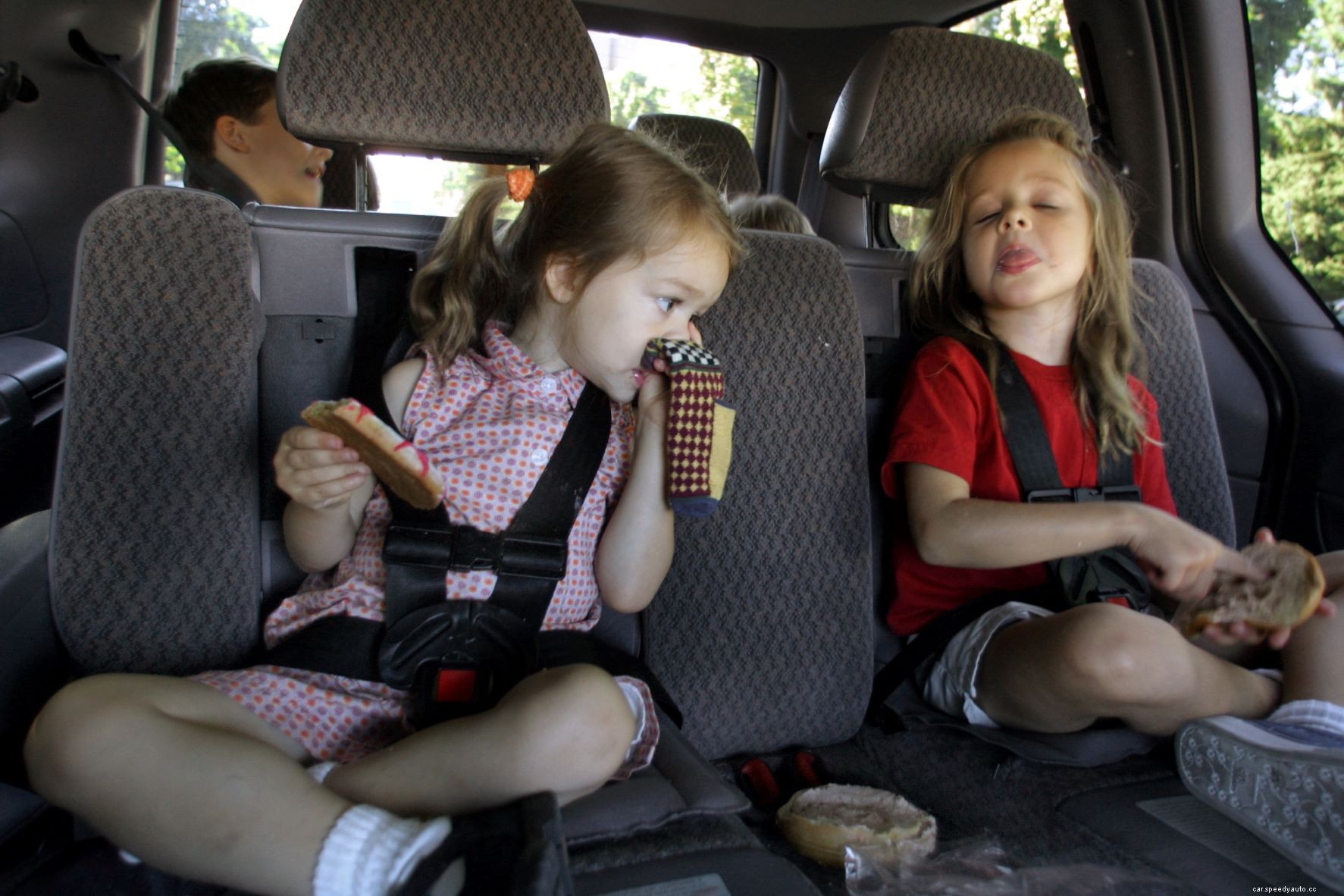 Can a New Car Smell Make You Sick?