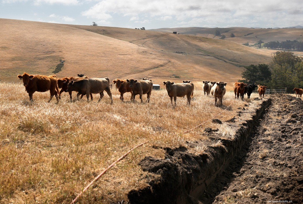 Your New Car Interior Might Be Changing Forever