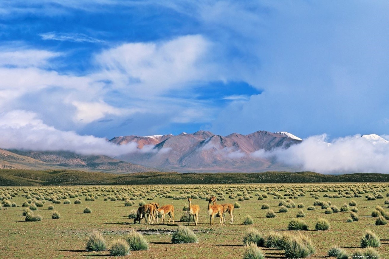 7 Best Coastal Drives Around the 7 Seas