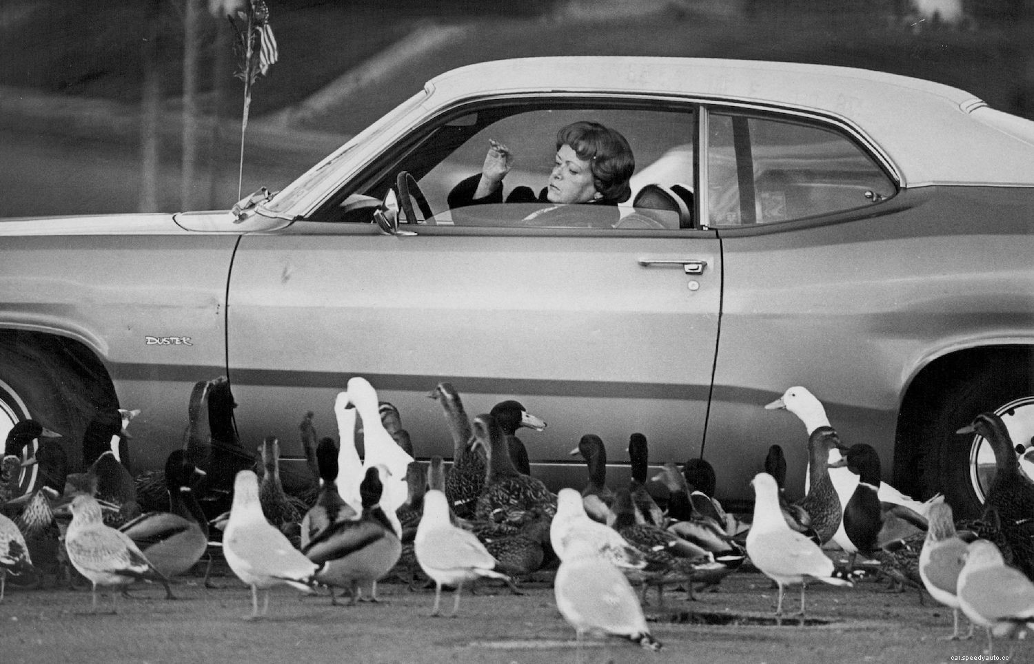 How Much Duckpower Does Your Car Have?