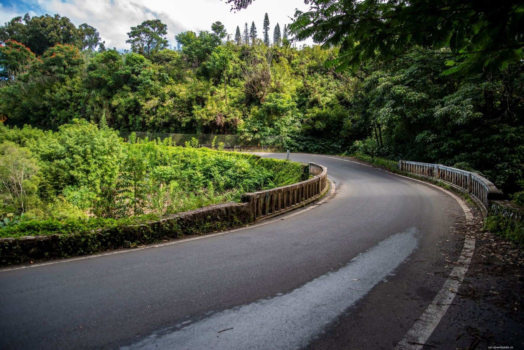 Driving the Maui Hana Highway in a Ford Mustang Convertible, and Get Mistaken for GOAT Surfer Kelly Slater