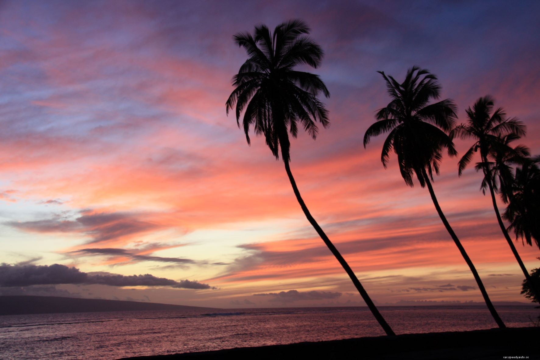Driving the Maui Hana Highway in a Ford Mustang Convertible, and Get Mistaken for GOAT Surfer Kelly Slater