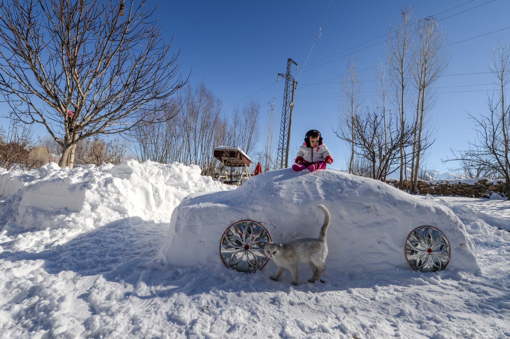 It’s Dangerous for Dogs and Cats to Ride in a Car in Cold Winter Weather