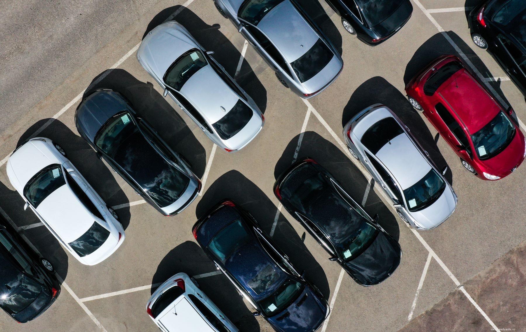 How Unlimited Sick Days Increased Productivity For This Dealership