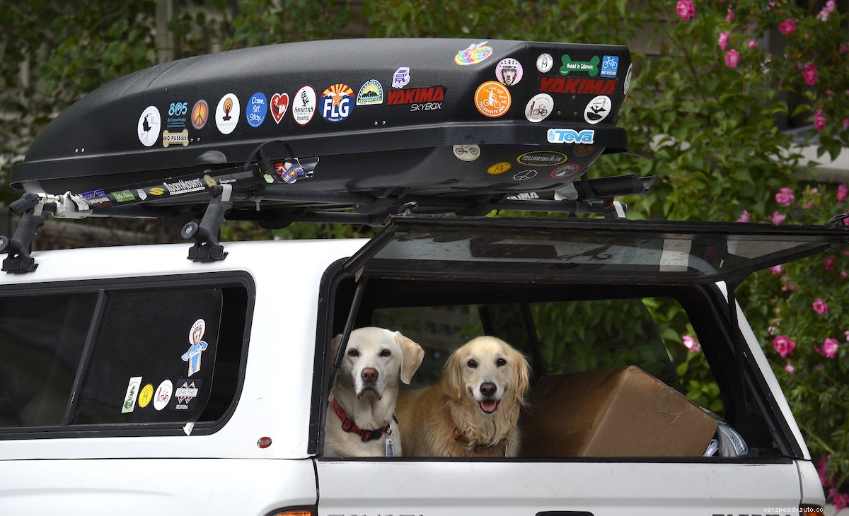 What is GVWR and Curb Weight? Are They Important For Your Truck or SUV?