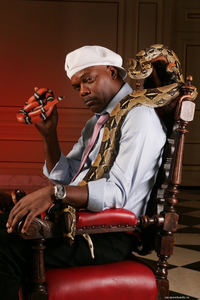 There Really Was a Snake Loose On This Airline Flight