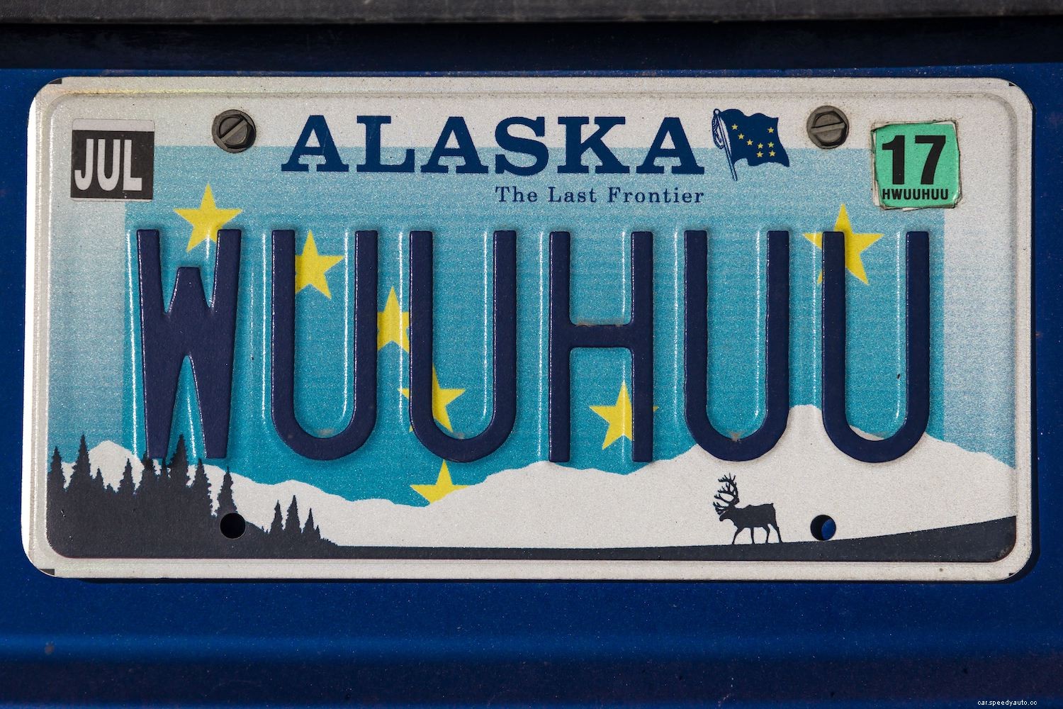 Do Custom License Plates Attract Police?