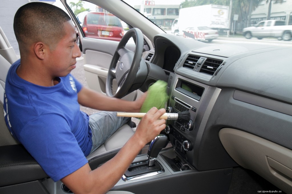 How to Rid Your Car of Fleas