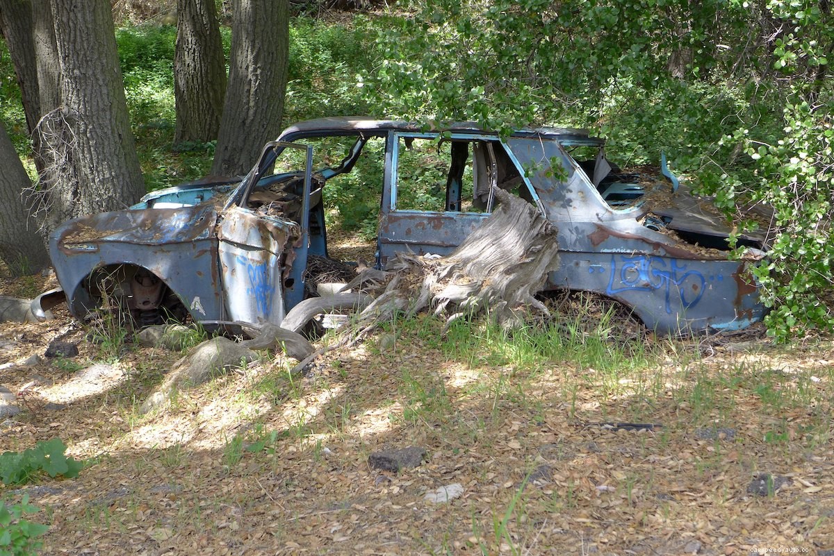 An Abandoned Car Made Police Believe the Driver Was Dead — Until She Turned Up 18 Years Later