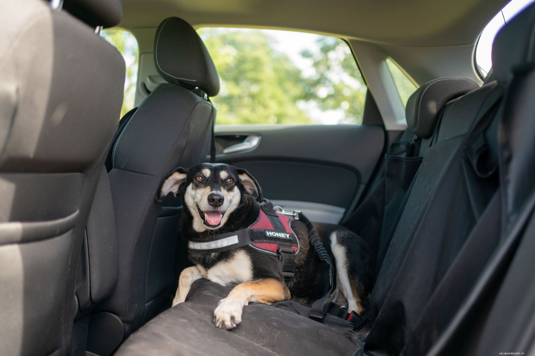 Family Handyman’s 8 Best Dog Car Seat Covers for Keeping Your Car Clean