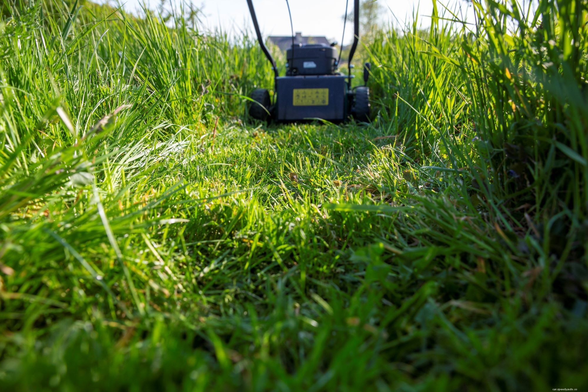 How Consumer Reports Chooses the Best Lawn Mowers for the Season