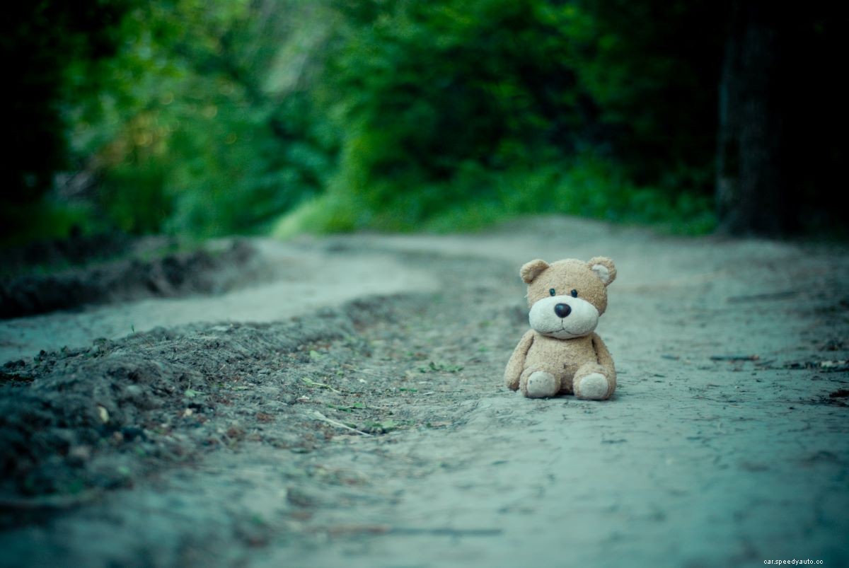 Why Do Truck Drivers Put Teddy Bears on Their Trucks?