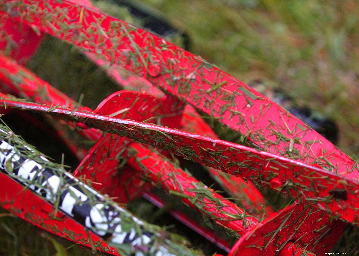 The 8 Best Reel Lawn Mowers to Cut Fuel Costs and Grass