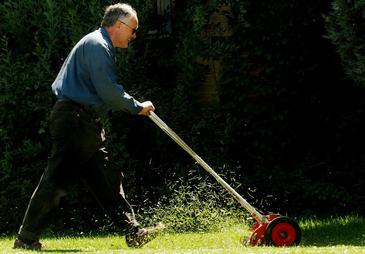 The 8 Best Reel Lawn Mowers to Cut Fuel Costs and Grass