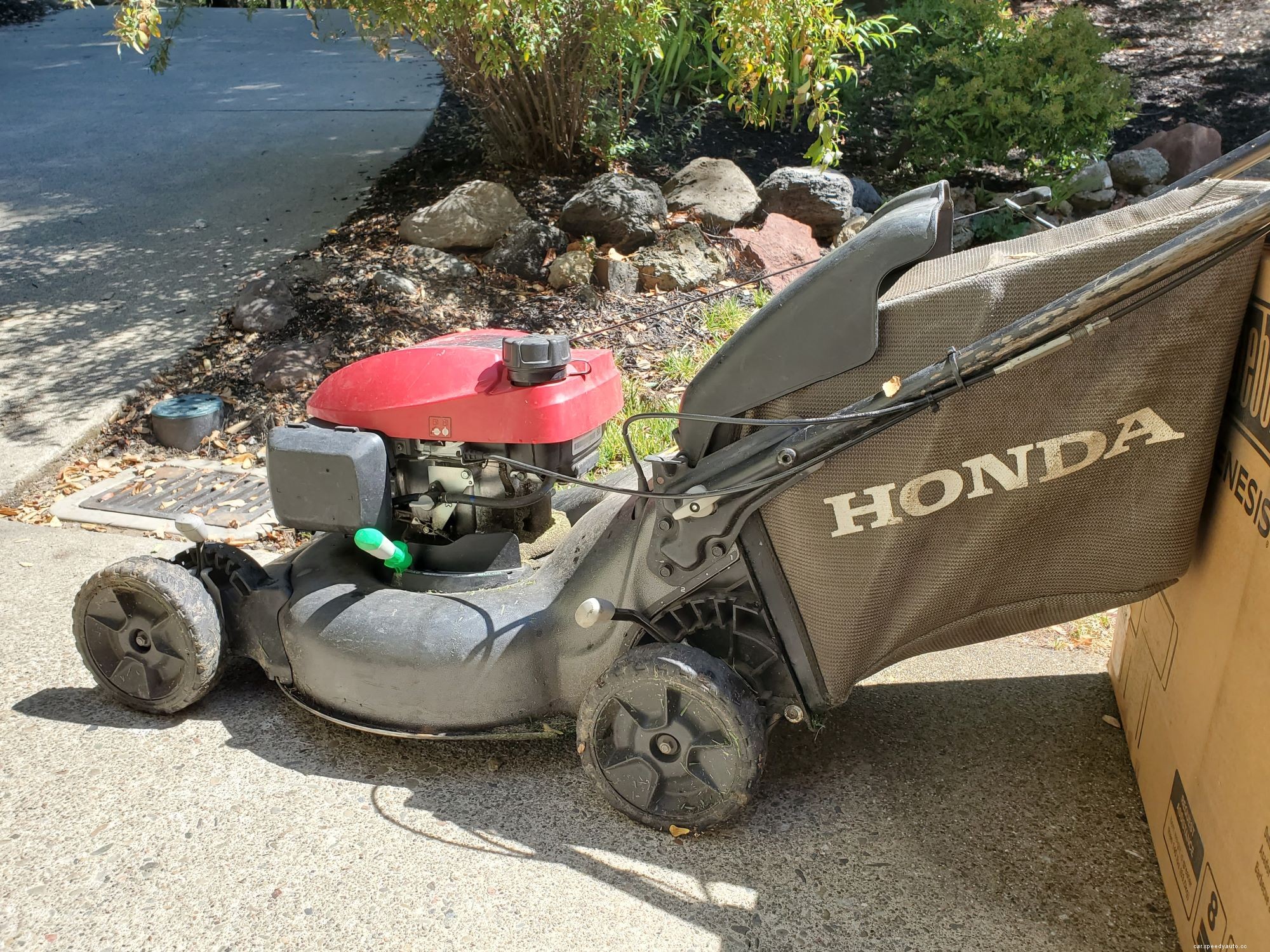 Honda Dominates the Best Gas Push Mowers, According to Consumer Reports