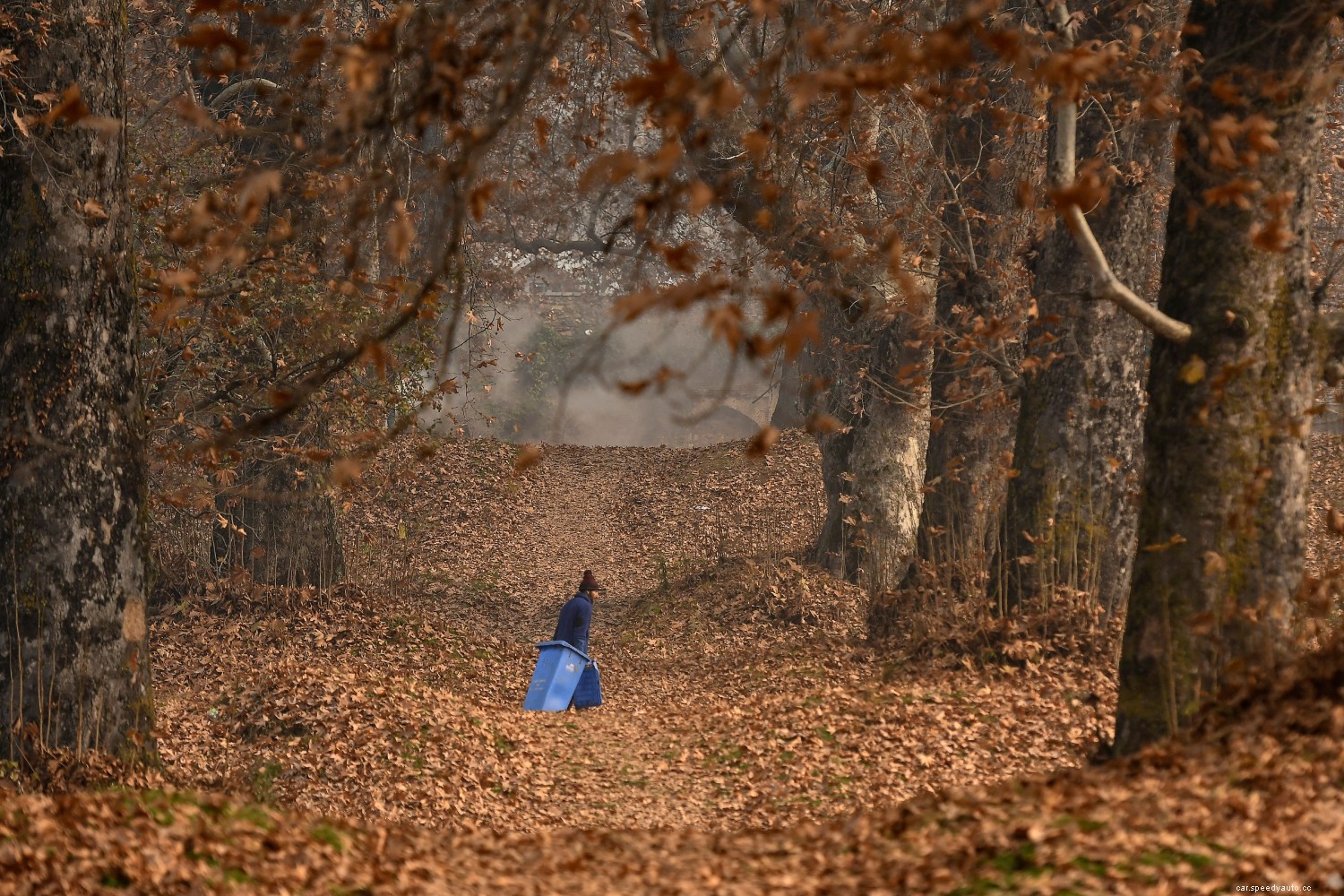 The Best Car Trash Cans to Keep Your Car, Truck, or SUV Clean This Summer