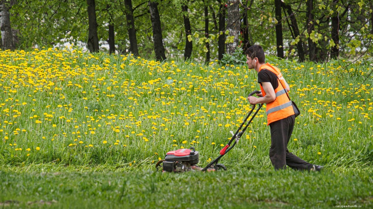 5 Things Bob Vila Thinks You Should Know Before Buying an Electric Lawn Mower