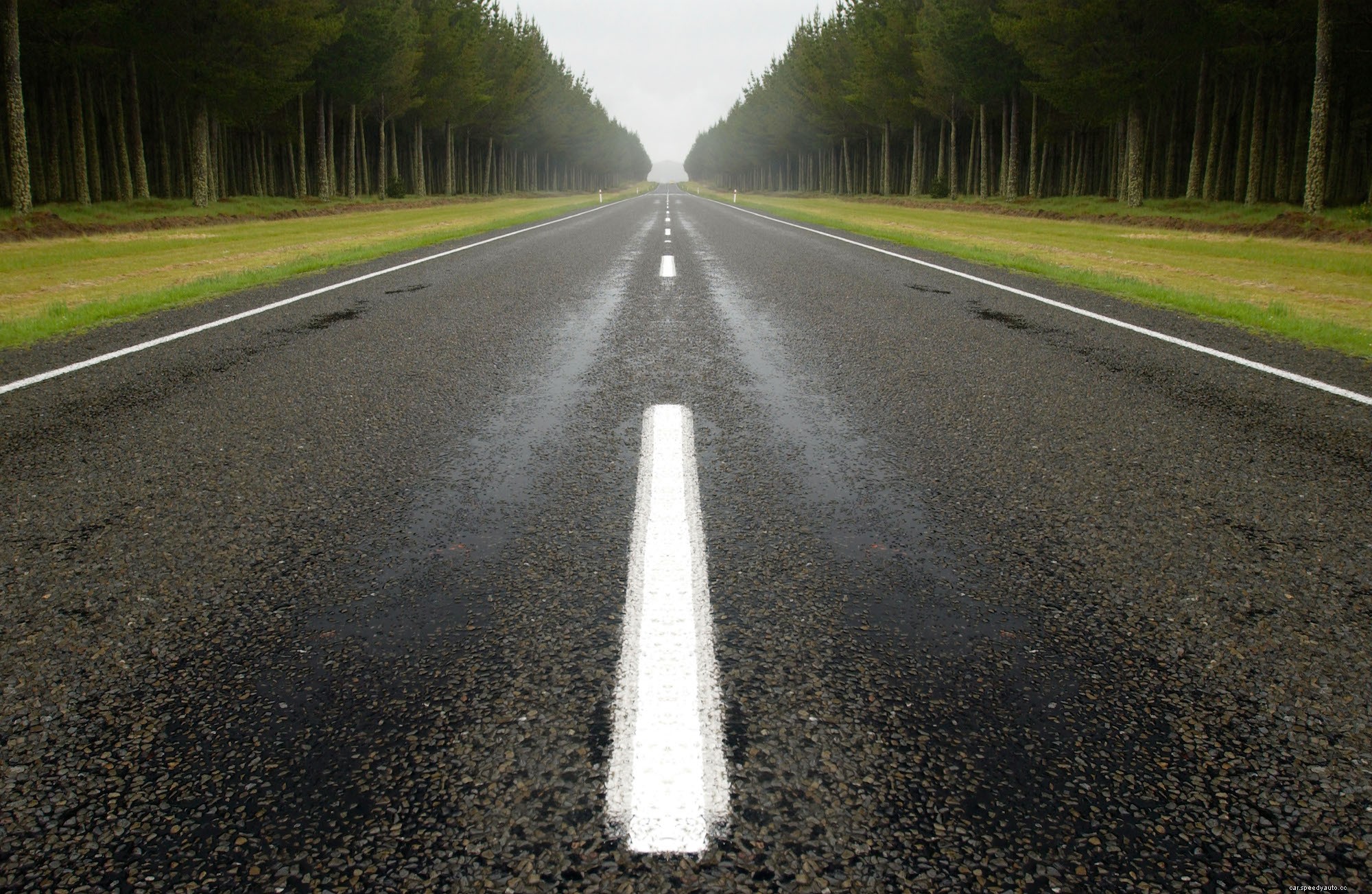 How to Plan the Perfect Road Trip in Summer 2022