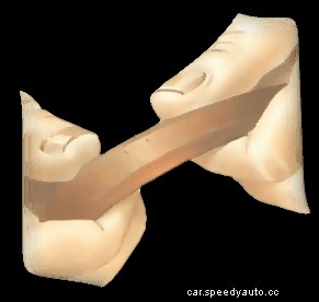 Adjusting and replacing a power-steering drive belt