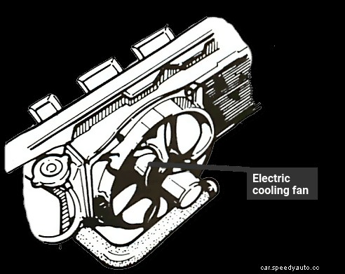 Preparing for the summer